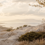 elegant coastal landscape in warm natural light, serene luxury editorial background