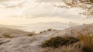 elegant coastal landscape in warm natural light, serene luxury editorial background